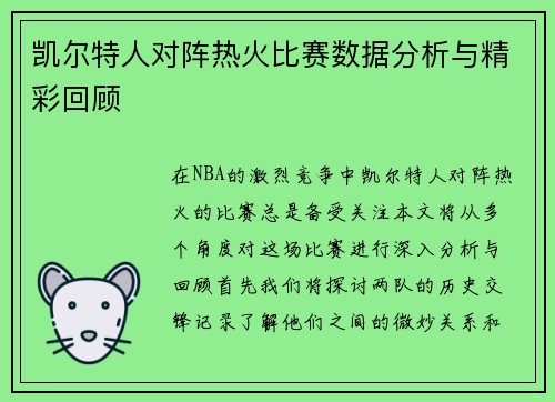 凯尔特人对阵热火比赛数据分析与精彩回顾